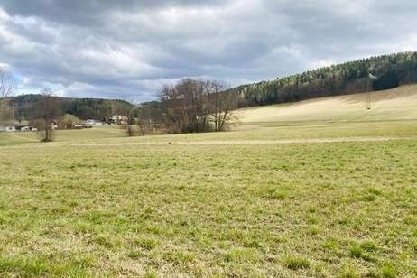 Familientraum mit großem Garten - Fertigstellung noch 2025!, Haus-kauf, 435.000,€, 2640 Neunkirchen