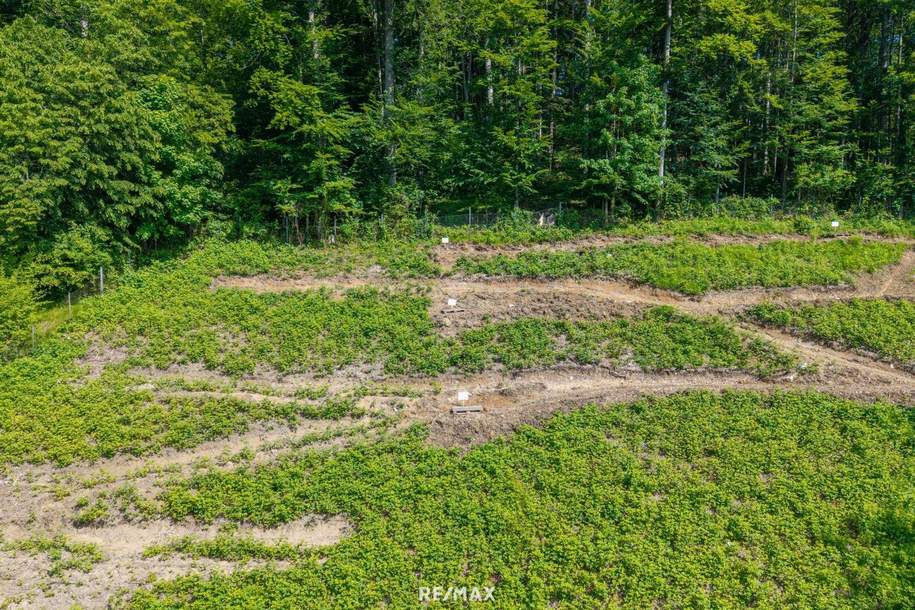 Neubauwohnung in der Kulturhauptstadt Bad Ischl, Wohnung-kauf, 539.000,€, 4820 Gmunden