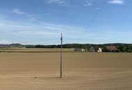 Eigentumswohnung mit Loggia in wunderschöner, ruhiger Aussichtslage nahe Lindetwald