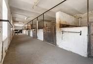 "Großzügiges Grundstück mit Pferdehof und sanierungsbedürftigem Haus – nur Minuten von Wien entfernt"