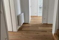 Wohnoase in Korneuburg-Bisamberg - 10 minutes to UNOCITY!