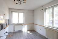 Haus mit 4 Wohneinheiten in Persenbeug, Bezirk Melk