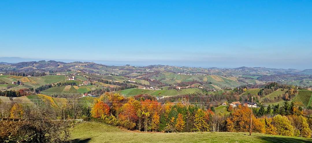 Südsteirisches Weinbergpanorama mit Landwirtschaft und Maria-Theresia-Abfindungsbrennrecht