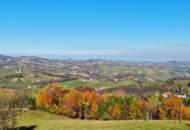 Südsteirisches Weinbergpanorama mit Landwirtschaft und Maria-Theresia-Abfindungsbrennrecht