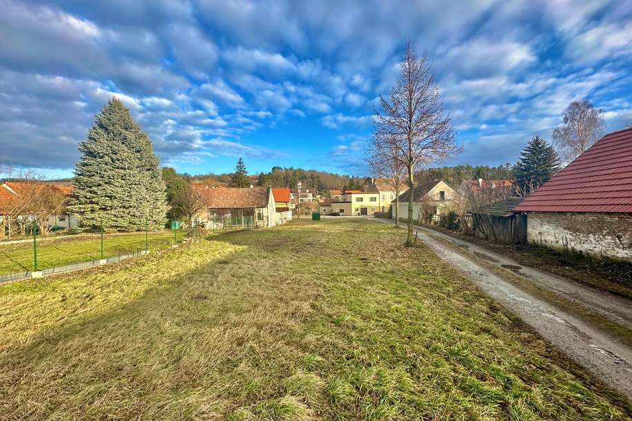 Großes Grundstück ohne Bauzwang!, Grund und Boden-kauf, 135.000,€, 2130 Mistelbach