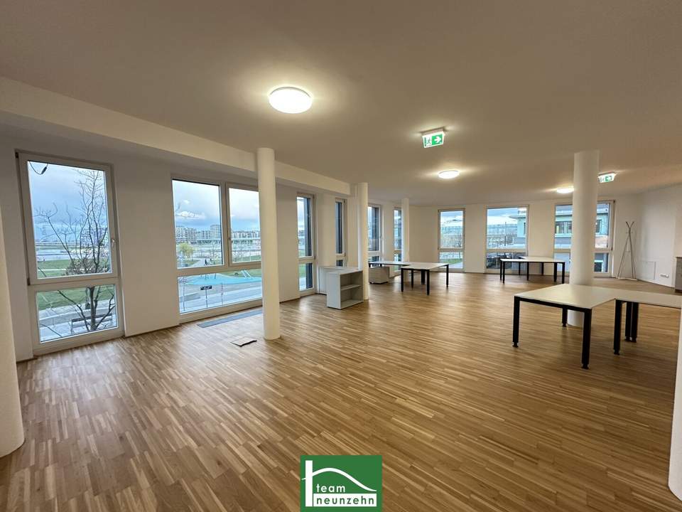 Büro mit Urlaubsfeeling gefällig? Arbeiten mit Blick auf den Asperner See - Moderne Bürofläche in der Seestadt. - WOHNTRAUM