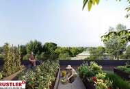 Ins neues Jahr mit Ausblick!