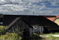 Ruhe, Sonne, Leben!