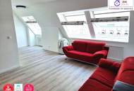 Lichtdurchflutete neu renovierte Wohnung