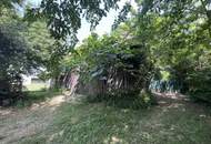 Grundstück mit Altbestand