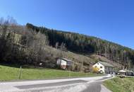 Einfamilienhaus im Grünen