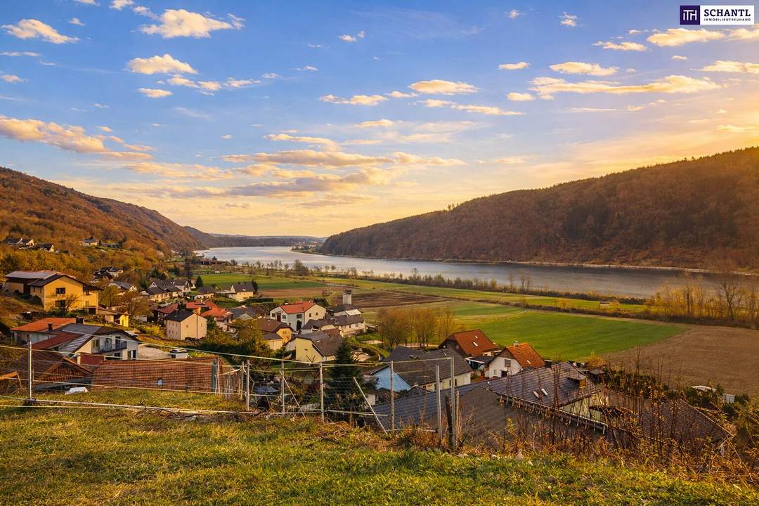 Schnell sein bei dem Preis! Seltenes Baugrundstück mit genialem Donau-Blick in ruhiger Lage: 2.168 m² für großzügiges Eigenheim, Mehrgenerationenwohnen oder Wohnen &amp; Arbeiten auf einem Grundstück!