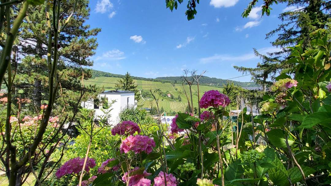 BAUGRUNDSTÜCK MIT WUNDERSCHÖNEM AUSBLICK IN ABSOLUTER RUHELAGE