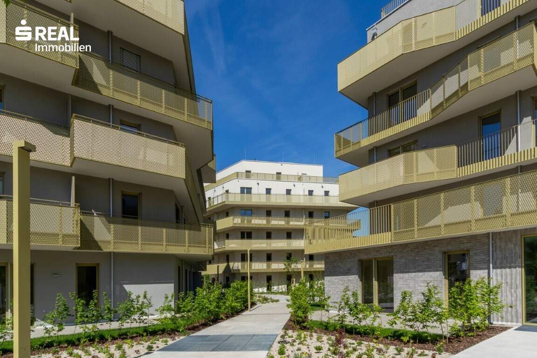 Sonnenlage trifft Wohnkomfort – 3 Zimmer mit großzügiger Südwest-Terrasse