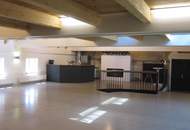 LOFT mit Galerie und vielen Nutzungsmöglichkeiten!