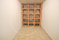 Modernes Einfamilienhaus mit großzügiger Lagerhalle/Werkstatt in zentraler Lage!