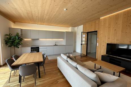 PROVISIONSFREI ! Exklusive Eigentumswohnungen mit Freifläche , Erstbezug Nachhaltig, Wohnung-kauf, 225.700,€, 2344 Mödling