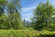 Schmuckstück am Semmering! Wohnen oder vermieten?