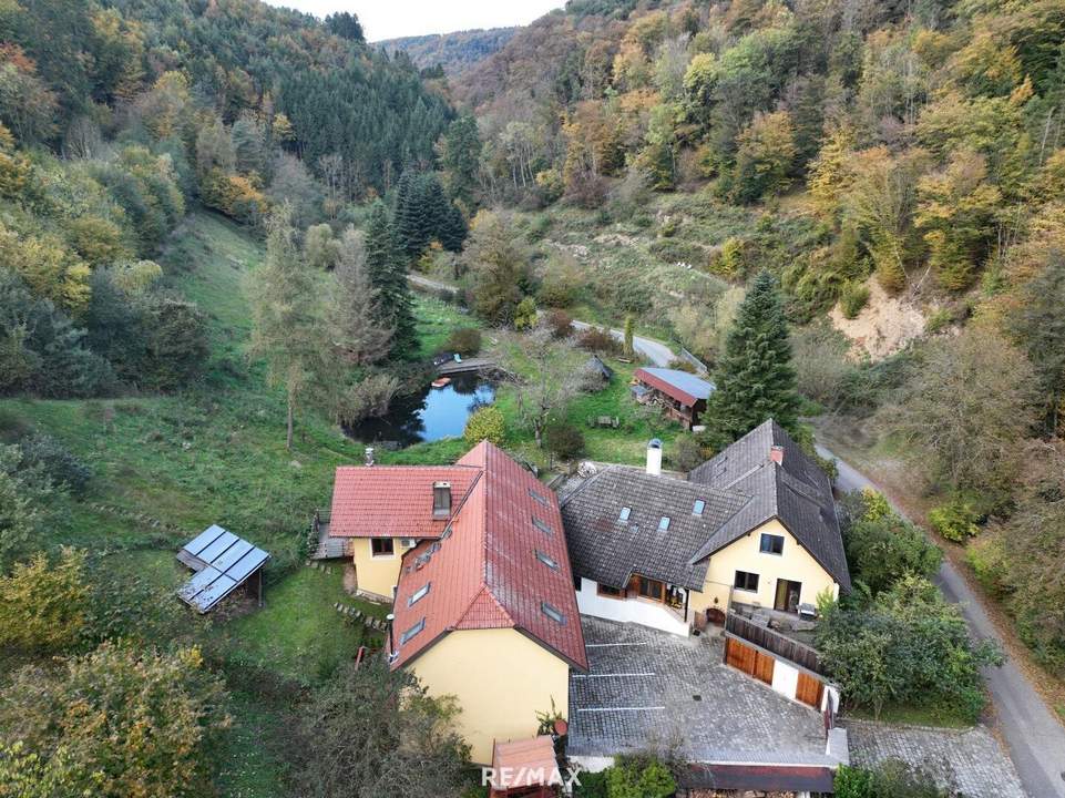 Refugium in Waldrandlage – Wohnen und Vermieten in der Wachau in Goßam