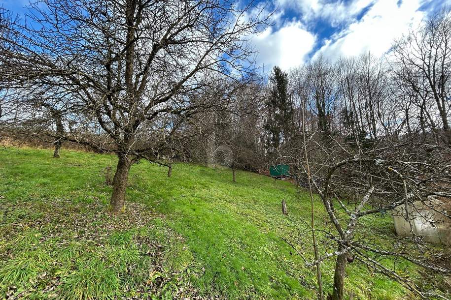 RARITÄT MIT PREMIUM AUSSICHT MIT EXKLUSIVER BAUGENEHMIGUNG, Haus-kauf, 5020 Salzburg(Stadt)