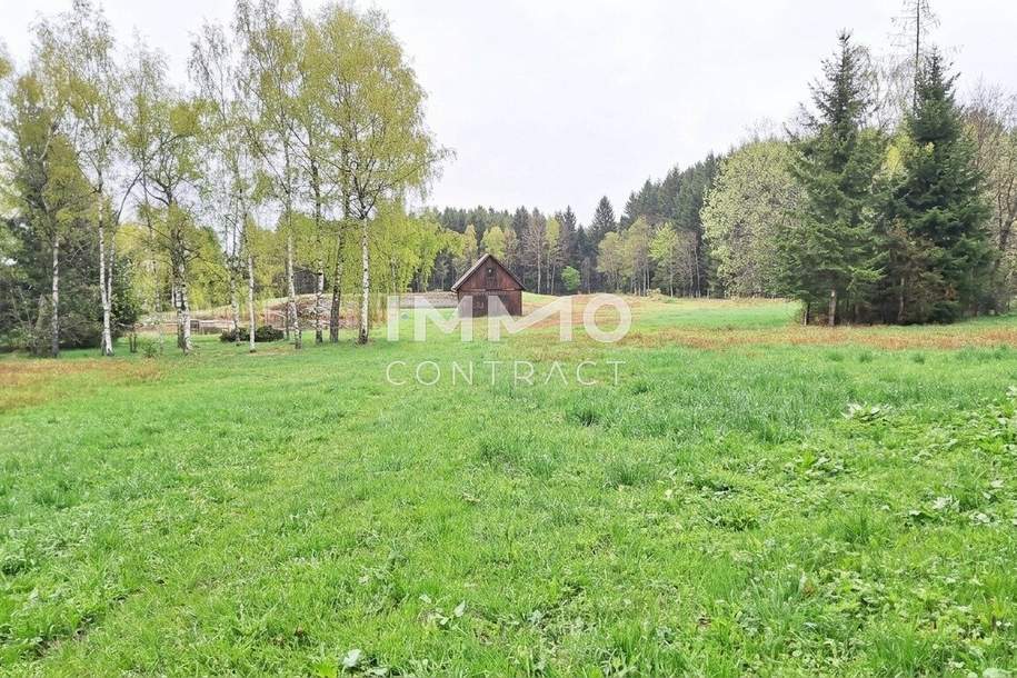 Großes Grundstück mit Fischteich und Badeteich, Erholungsanlage, Freizeitparadies mit viel Potenzial, Grund und Boden-kauf, 280.000,€, 3632 Zwettl