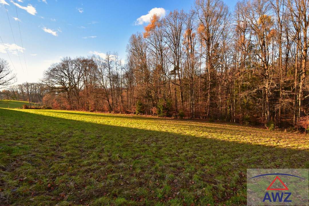 Baugrundstück mit landwirtschaflicher Nutzfläche!