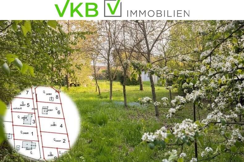 Großzügiges Grundstück guter Lage nähe Gallneukirchen! – Gemeinde Alberndorf in der Riedmark (GST 2438/3), Grund und Boden-kauf, 217.000,€, 4211 Urfahr-Umgebung