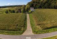 Landwirtschaft, Alleinlage, weitere Grundstückskäufe möglich!