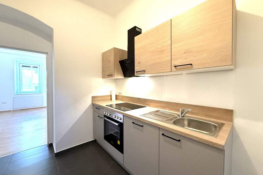 Modern sanierte 2-Zimmer-Wohnung im Bezirk Lend, Wohnung-kauf, 99.000,€, 8020 Graz(Stadt)