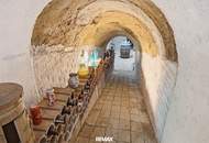 Charmanter Weinkeller mit Potenzial, Pizzaofen und Grünfläche in traditioneller Kellergasse – Wilfersdorf bei Mistelbach