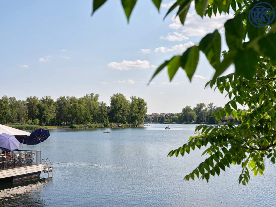 Platz für die ganze Familie: XXL-Wohnung an der Alten Donau
