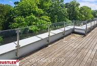 Geräumige 3 Zimmerwohnung mit großzügigen Terrassen!
