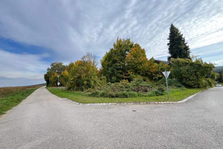 Attraktives Baugrundstück in sonniger Lage, Grund und Boden-kauf, 190.000,€, 2123 Mistelbach