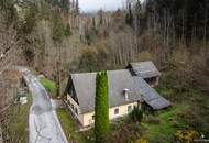 Idyllische Alleinlage im Wandergebiet Zell-Koschuta.