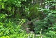 "Mein Projekt für 2026!"