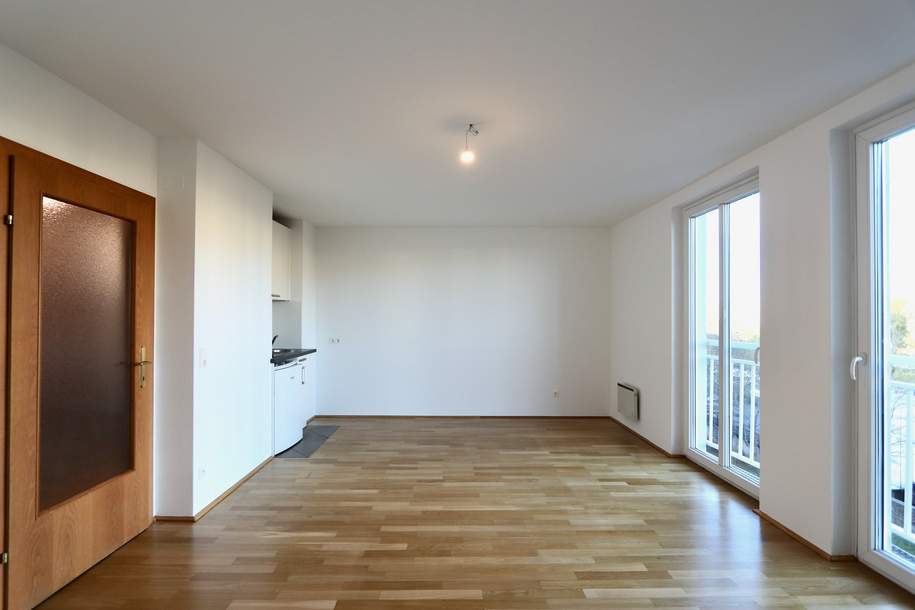 Charmante 1-Zimmer-Wohnung direkt an der Spittelauer Lände – ideal für Singles oder Studenten! - 15B, Wohnung-miete, 730,00,€, 1090 Wien 9., Alsergrund