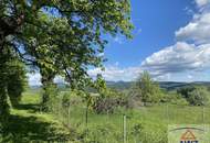 Hof in Ruhelage 2.460 m² Grund, ideal für Pferde- und Tierliebhaber