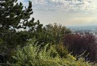 Ihr Einfamilienhaus mit Panorama-Ausblick und Pool in Mödlinger Bestlage!