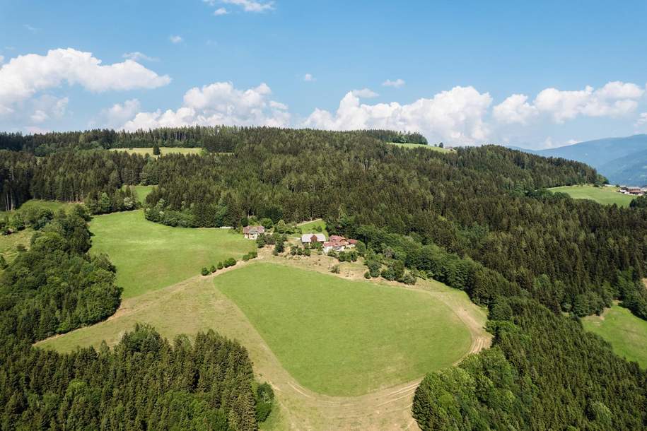 Ländliches Juwel mit großem Potenzial und Panoramablick im Lavanttal, Gewerbeobjekt-kauf, 1.250.000,€, 9413 Wolfsberg