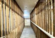 WG-ZIMMER in 3er-STUDENTEN-WG mit AUßENFLÄCHE (550,- Warmmiete Gesamt)