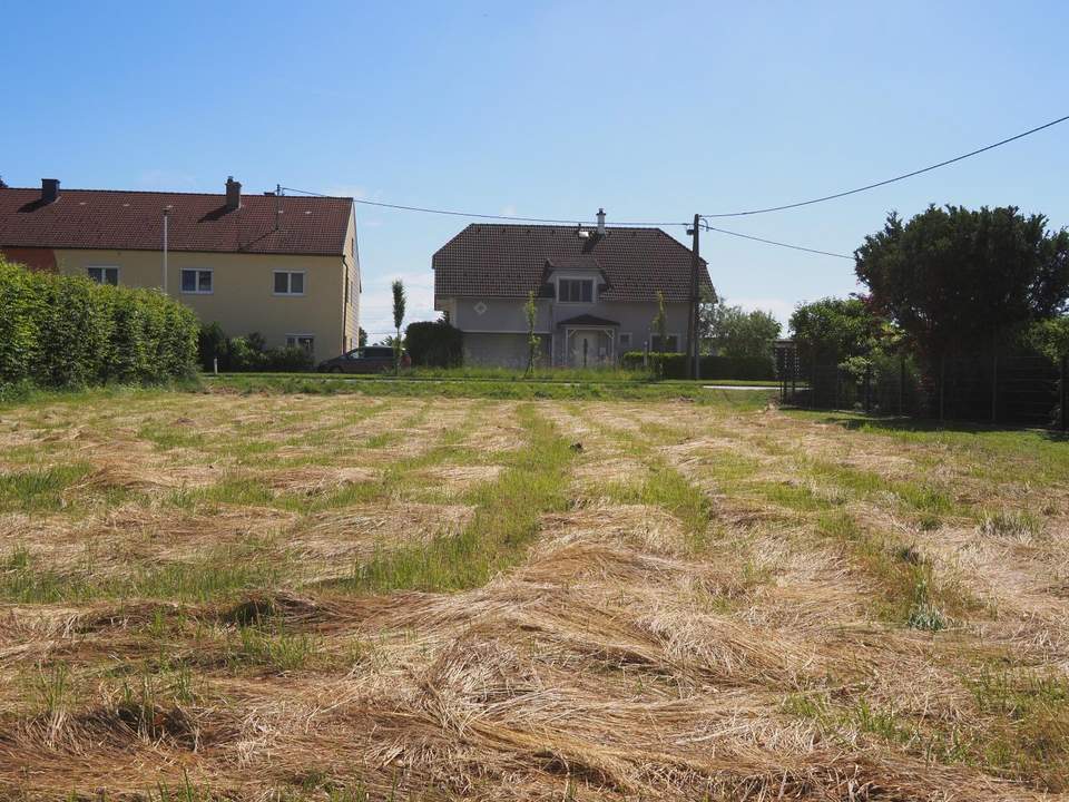 Hier beginnt Ihr Wohntraum – 849 m² Baugrund in Langenstein