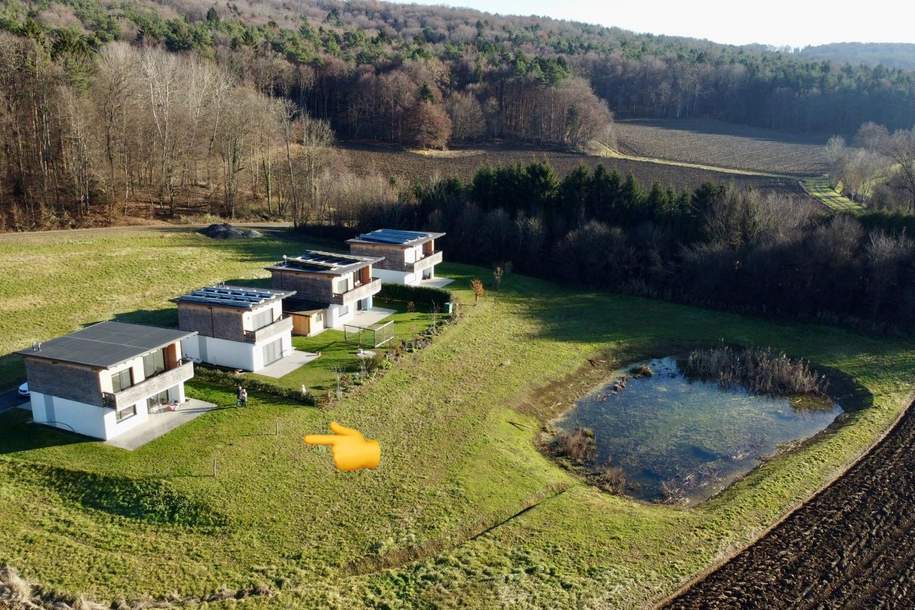 Luxus trifft Natur!, Haus-kauf, 289.000,€, 8354 Südoststeiermark