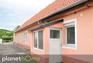 Ist es auch Ihr Traum, eigenes Obst und Gemüse zu ernten?