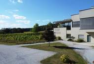 Weingut mit ca. 4 ha Weingärten im Südburgenland!
