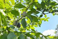 GARTENPARADIES MIT EINFAMILIENHAUS-FLAIR!