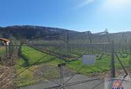 Top gelegenes Industriegrundstück in Markt Hartmannsdorf - ca. 11.489 m² für Ihre Zukunft!