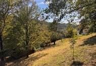 PREISREDUKTION! Attraktiver Baugrund inkl. Bewilligung für Wohnbauprojekt mit 4 Doppelhaushälften!