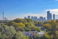 KAUFANBOT EBEN ANGENOMMEN - Ungehinderter Weitblick über die die Stadt: Ihre City - Donau - Maisonette