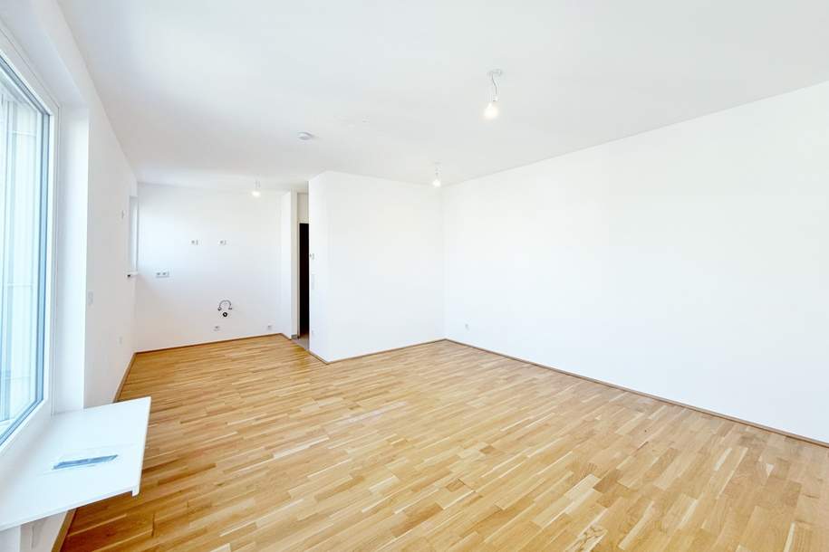 Ein Blick über die Dächer von Wien. 2 Zimmerwohnung mit Terrasse, Wohnung-kauf, 319.900,€, 1230 Wien 23., Liesing