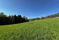 Ihr Traum beginnt hier! Malerisches Grundstück in Leibnitz/Fötschach mit atemberaubender Aussicht und historischem Altbestand!